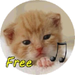 Logo of Chamar_Gato android Application 